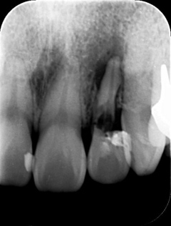 4955_294849_コピー