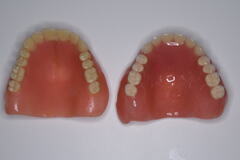 DSC_1268_コピー_コピー