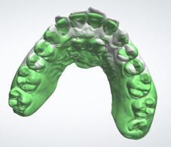 シースルー4_コピー