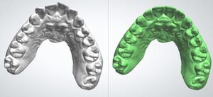 シースルー2_コピー