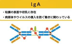 世田谷区三軒茶屋の歯科【STデンタルサロン】