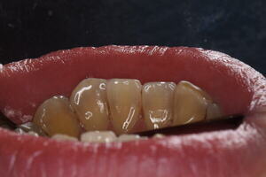 DSC_1210_コピー_コピー_コピー