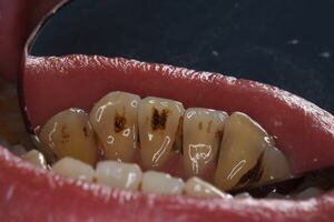 DSC_1207_コピー_コピー_コピー