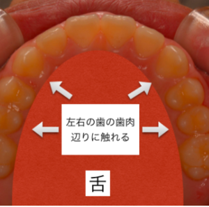 huy_コピー