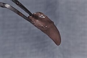 s164398672207201_コピー